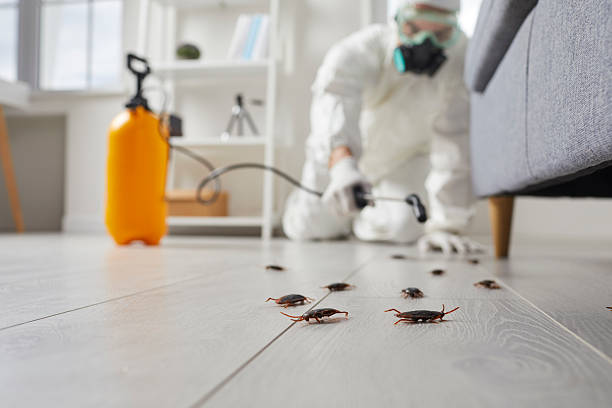 Post-Treatment Bed Bug Interceptor Monitoring in Inverness