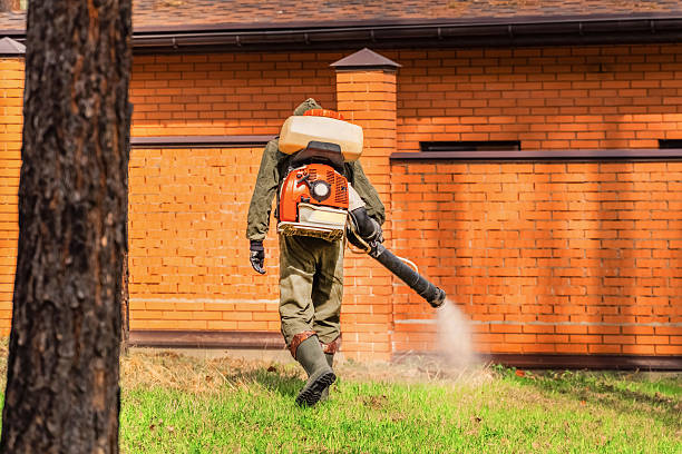 Bed Bug Clearance Verification and Documentation in Inverness